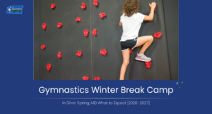 Gymnastics vs. Ninja Classes: Which Program Is Right for Your Child?
